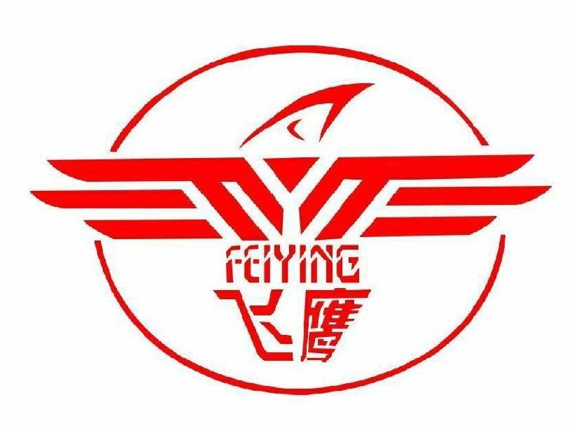 飞鹰医疗 Logo